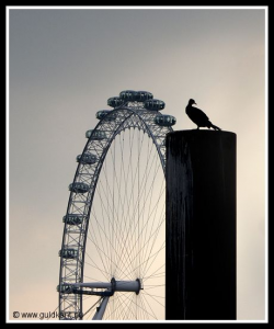 London Eye